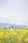 02 張月油菜花寫真
